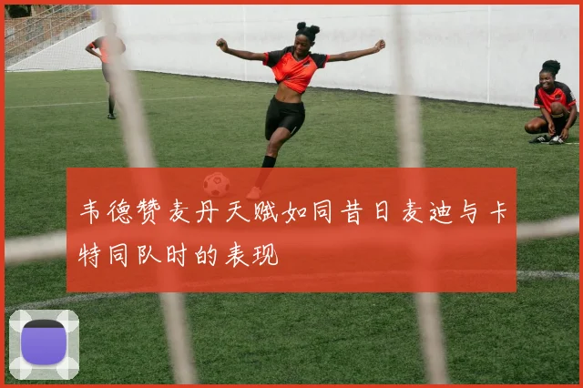 韦德赞麦丹天赋如同昔日麦迪与卡特同队时的表现